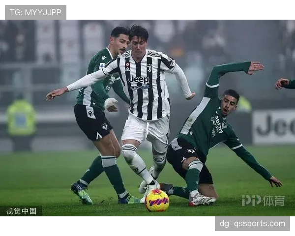 劳塔罗与弗拉霍维奇：终结效率差异与战术角色适配性解析